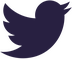 Twitter Twitter